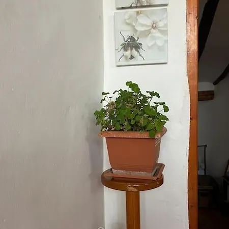 Chalet La Casa De Maestros *