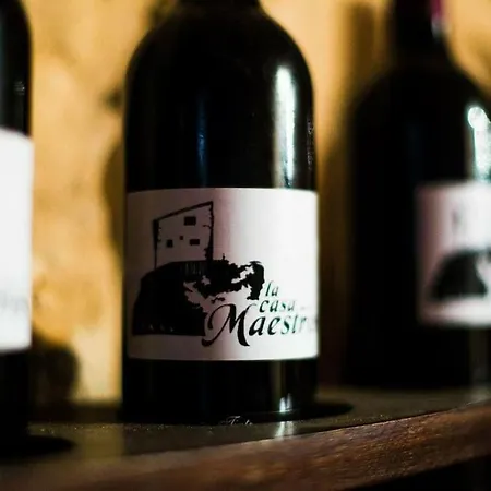 La Casa De Maestros * San Felices de los Gallegos