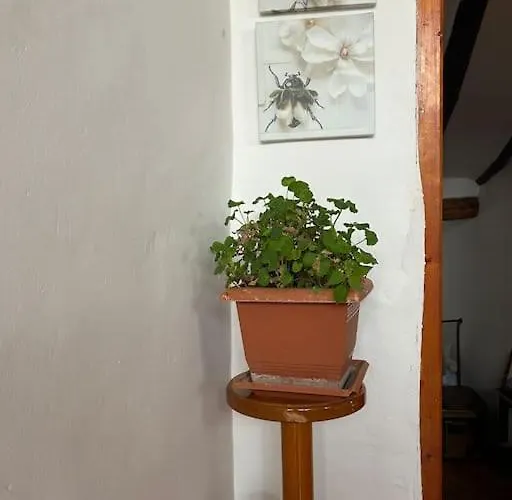 샬레 La Casa De Maestros *