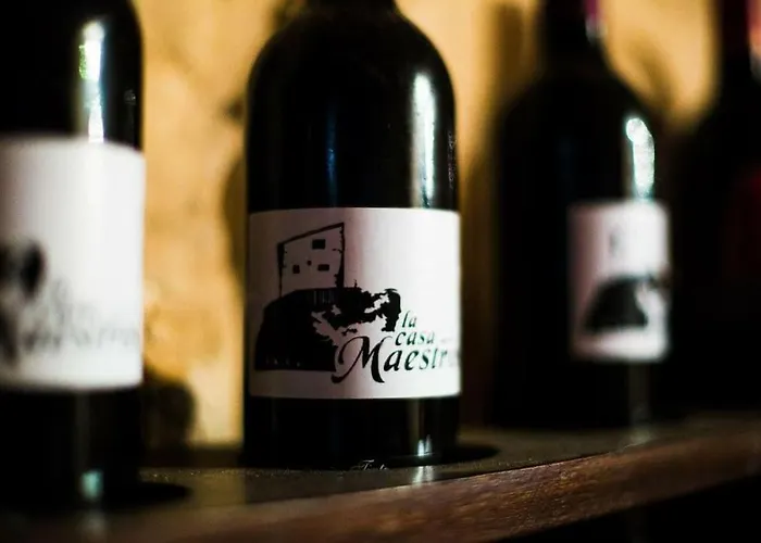 La Casa De Maestros * San Felices de los Gallegos