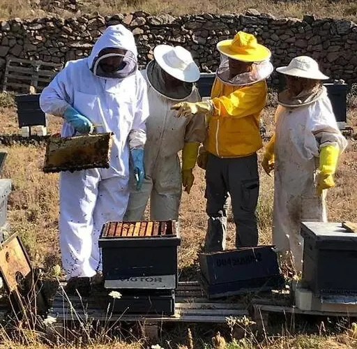 La Casa De Maestros *