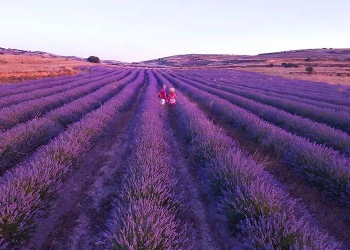 La Casa De Maestros *