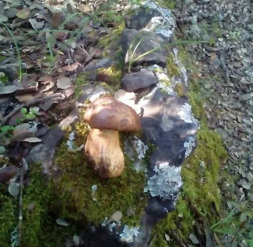 La Casa De Maestros 샬레 *